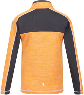Regatta Kinderen/Kinderen Hewley Recycled Half Zip Fleece Top (Abrikoosplet/Grijs) Oranje