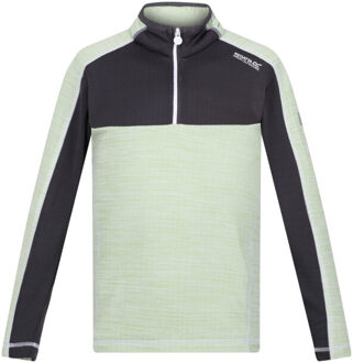 Regatta Kinderen/kinderen hewley recycled half zip fleece top Grijs - 104