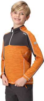 Regatta Kinderen/kinderen hewley recycled half zip fleece top Paars - 164