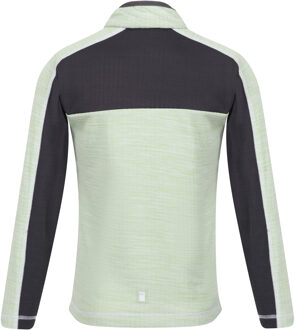 Regatta Kinderen/Kinderen Hewley Recycled Half Zip Fleece Top (Stil Groen/Grijs) Bos Groen - 3-4J / 98-104cm