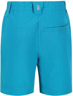 Regatta Kinderen/Kinderen Highton Wandelbroek (Email) Blauw - 5-6J / 110-116cm