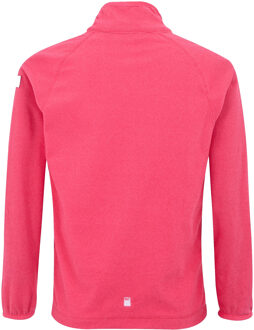 Regatta Kinderen/Kinderen Loco Fleece (Pop/Framboos Rimpeling) Klaproos