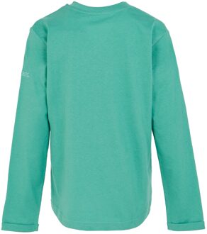 Regatta Kinderen/Kinderen Wenbie III Flower Mountain T-Shirt (Stoffig groen)