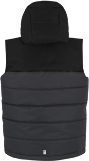 Regatta Kinderen Lofthouse Bodywarmer (Zwart/Seal Grijs) - 14J / 164cm