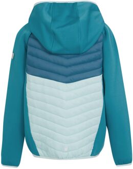 Regatta Kinders/kids kielder viii hybride jas Blauw