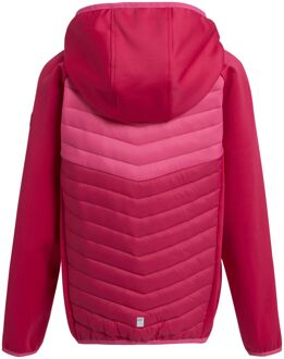 Regatta Kinders/kids kielder viii hybride jas Roze