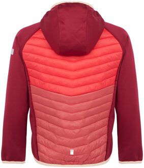 Regatta Kinders/Kids Kielder VIII Hybride Jas (Rumba Rood/Rode Hemel)