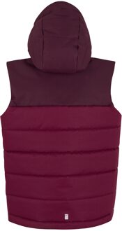 Regatta Lofthouse Bodywarmer voor kinderen/Kinderen (Vijg/Dark Pimento) Bordeaux