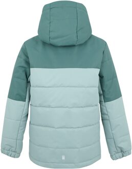 Regatta Lofthouse geïsoleerde jas voor kinderen/Kinderen (Gewone groen/groene waas) - 11-12J / 146-152cm