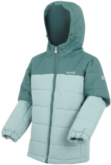 Regatta Lofthouse geïsoleerde jas voor kinderen/kinderen - maat 140 Groen