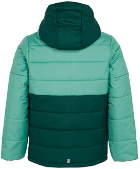 Regatta Lofthouse viii geïsoleerde jas voor kinderen/kinderen Groen - 128