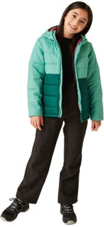 Regatta Lofthouse viii geïsoleerde jas voor kinderen/kinderen Groen - 140