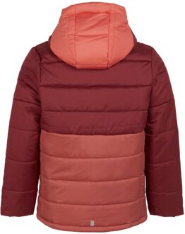 Regatta Lofthouse viii geïsoleerde jas voor kinderen/kinderen Rood - 13J / 158cm