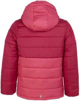 Regatta Lofthouse viii geïsoleerde jas voor kinderen/kinderen Roze
