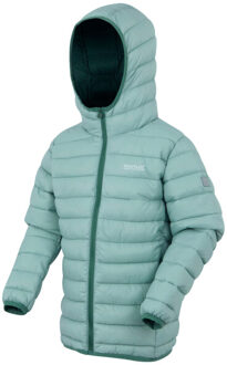 Regatta Marizion gewatteerde jas met capuchon voor kinderen/kinderen Groen - 164