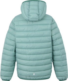 Regatta Marizion gewatteerde jas met capuchon voor kinderen/Kinderen (Groene Haze/Vurengroen) Donkergroen - 14J / 164cm