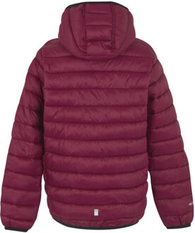 Regatta Marizion gewatteerde jas met capuchon voor kinderen/kinderen Rood - 170/176