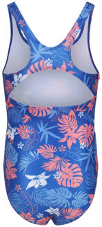Regatta Meisjes Katrisse Familie Hawaiian Eendelig Zwempak (Oxford Blauw) - 5-6J / 110-116cm