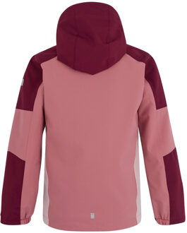 Regatta Meisjes Trekktain 3 in 1 Jas (Dark Pimento/Dusty Rose/Lotus) - maat 13J / 158cm Lichtroze