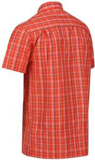 Regatta Men's Regatta Kalambo VII Short Sleeve Shirt in Orange Oranje