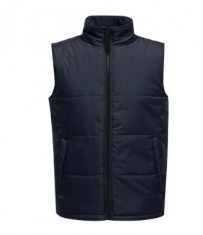 Regatta Opvallende Heren Toegang Geïsoleerde Bodywarmer (Marine / Zwart) Navy - M