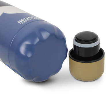 Regatta Orla Kiely Daisy 0.5L waterfles (Grijs) - maat