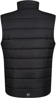 Regatta Professional Thermische bodywarmer voor heren (Zwart/Seal Grijs)