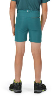 Regatta Sorcer ii bergshorts voor kinderen/kinderen Groen - 104