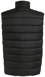 Regatta Thermische bodywarmer navigate voor heren Groen - XXXL