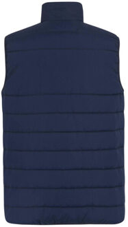 Regatta Thermische bodywarmer voor heren Blauw - L
