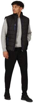 Regatta Thermische bodywarmer voor heren Zwart - M