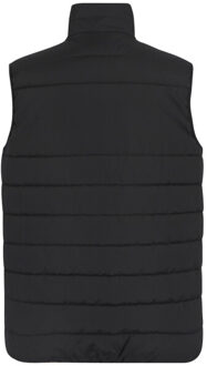 Regatta Thermische bodywarmer voor heren Zwart - M