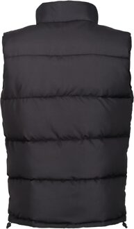 Regatta Uniseks northdale geïsoleerde bodywarmer voor volwassenen Zwart