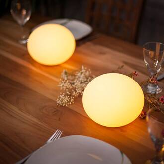 Regelbare sfeerlamp Flatball XXS IP68 wit