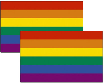 Regenboog kleuren vlag - 2x - 90 x 150 cm - polyester - met ringen