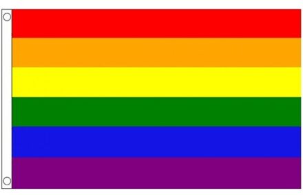 Regenboog LGBT vlag 60 x 90 cm