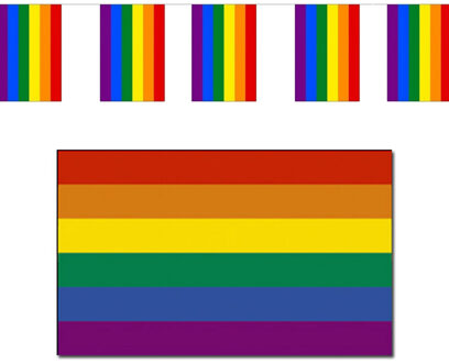 Regenboog pride vlaggen versiering set binnen/buiten 2-delig