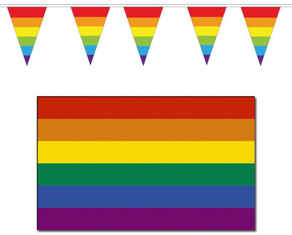 Regenboog pride vlaggen versiering set binnen/buiten 2-delig