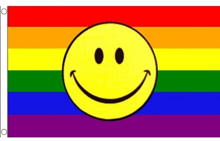Regenboog smiley versiering vlag
