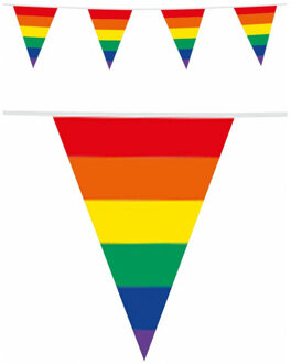 Regenboog thema vlaggenlijn/vlaggetjes 10 meter - Dubbelzijdig bedrukt - Vlaggenlijnen Multikleur