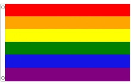 Regenboog versiering vlag 60 x 90 cm