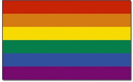 Regenboog vlag 90 x 150 cm  - Gaypride