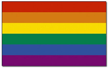 Regenboog vlag 90 x 150 cm  - Gaypride