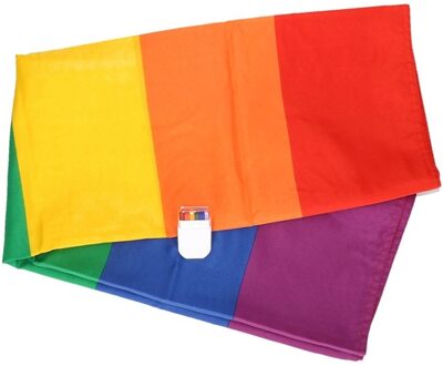 Regenboog vlag 90 x 150 cm met schmink stift