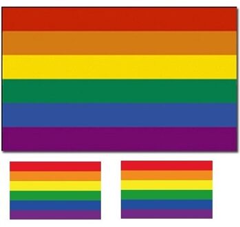 Regenboog vlag 90 x 150 cm met twee gratis regenboog stickers Multi