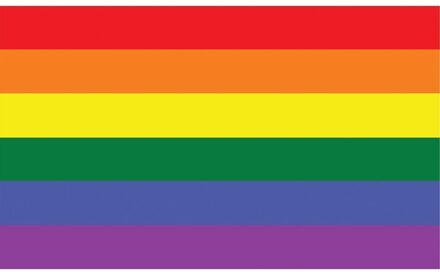 Regenboog vlag 90x150cm Multikleur - Print
