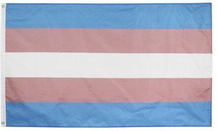 Regenboog Vlag 90X150Cm Polyester Gedrukt Lgbt Trans Transgender Pride Vlag Accessoires