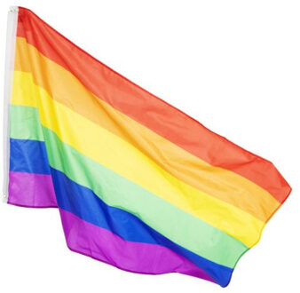 Regenboog vlag - polyester - 90x150 cm