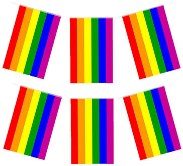 Regenboog vlaggenlijn 2x stuks van 7 meter