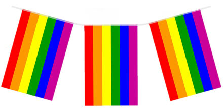 Regenboog vlaggenlijn/vlaggetjes van 7 meter
